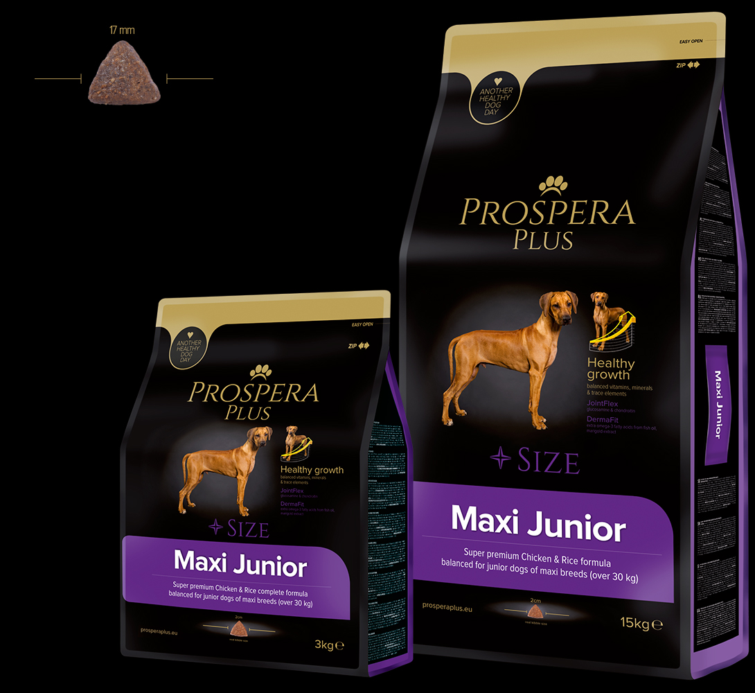 Maxi Junior PROSPERA PLUS
